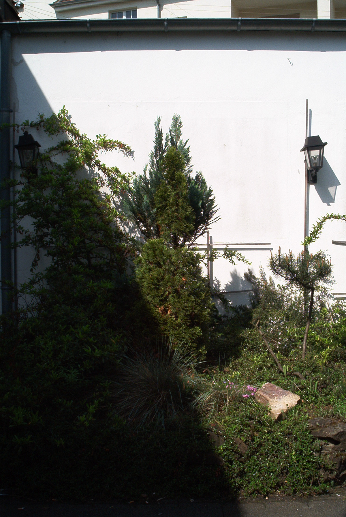 Ausblick #2